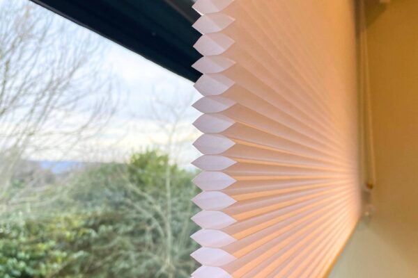 Honeycomb pleated