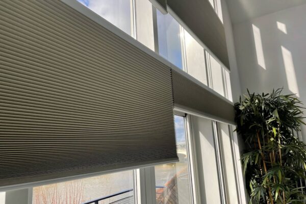 Electric pleated blinds for apex window