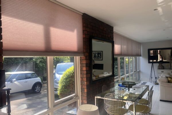 Electric dual cell honeycomb blinds